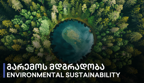 გარემოს მდგრადობა (Environmental Sustainability)