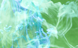 განახლებადი ენერგია: ბიოენერგიის წარმოება და გამოყენება